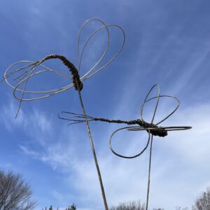Weaving Willow Wonder: Kids and Adults Playshop! June 29