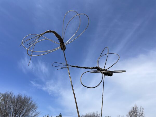 Weaving Willow Wonder: Kids and Adults Playshop! June 29